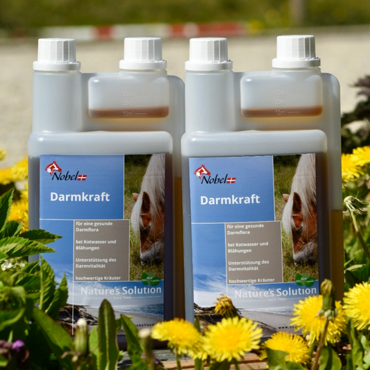 Nobel DARMKRAFT LIQUID - für die gesunde Verdauung, 1 Liter