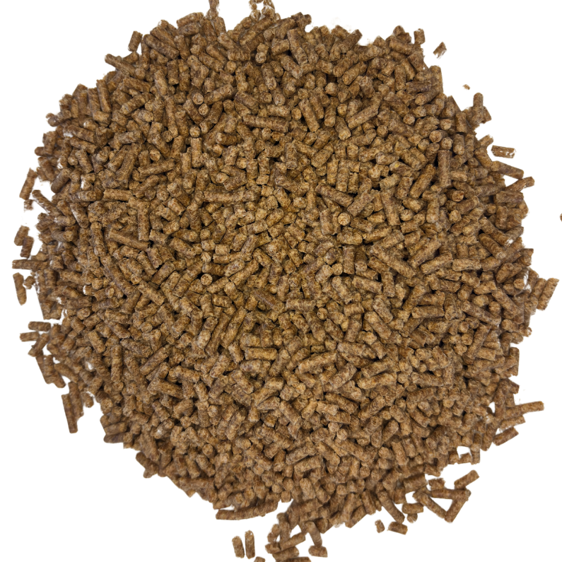 Nobel FLOHSAMENSCHALEN PELLETS-praktisch, kein Aufkochen notwendig