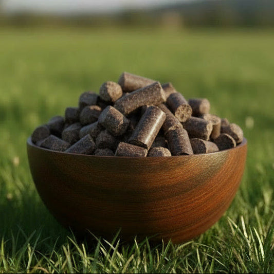 LAKRITZ LECKERLI nach echter dänischer Rezeptur, 2,5kg