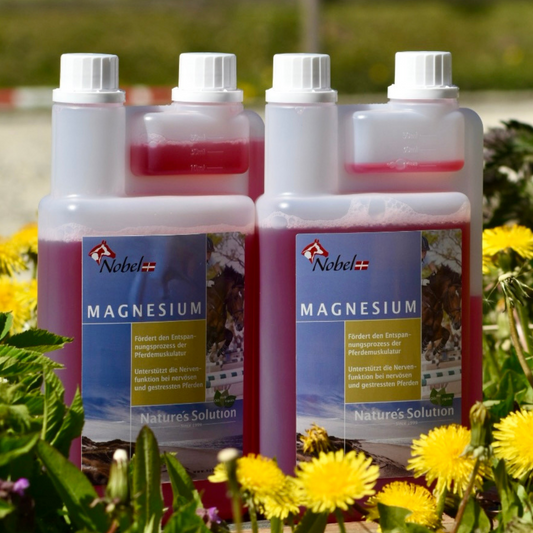 Nobel MAGNESIUM LIQUID - für Balance und Entspannung