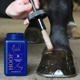 SCHNÄPPCHEN-GLÜCK - Turnier Grooming-Set