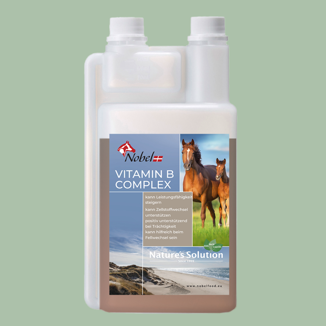 Nobel VITAMIN B-COMPLEX, 1 Liter