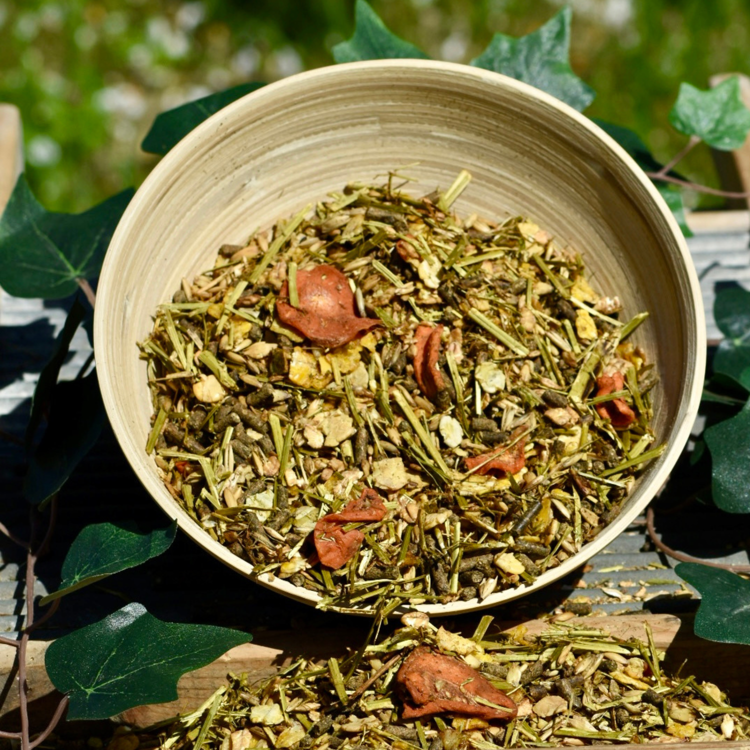 GAstro Müsli für das Magenpferd