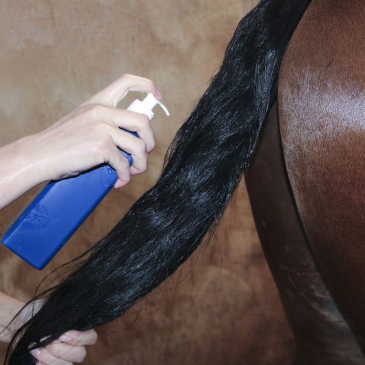 Digby-Conditioner-hest
