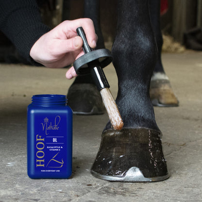 Hoof-Oil-1-1024×1024
