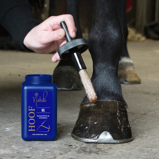 Hoof-Oil-1-1024×1024