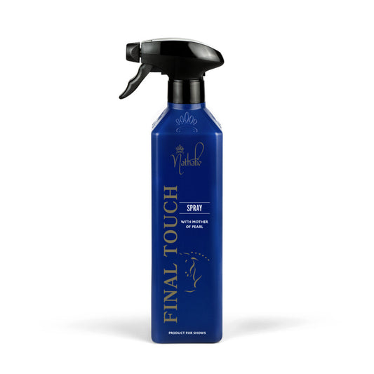 Final-Touch-Spray_500-ml-1024×1024