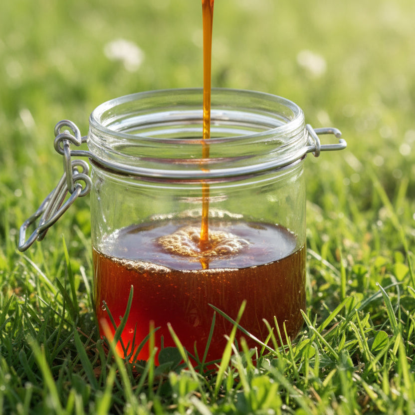 Nobel Vitamin B-Complex