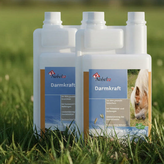 Nobel DARMKRAFT LIQUID - für die gesunde Verdauung, 1 Liter