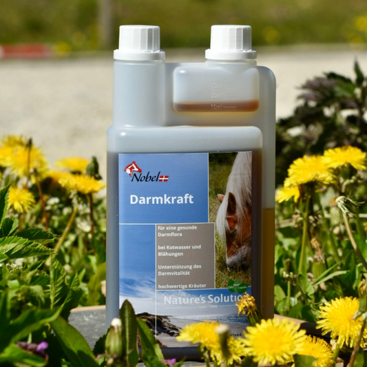Nobel DARMKRAFT LIQUID - für die gesunde Verdauung, 1 Liter