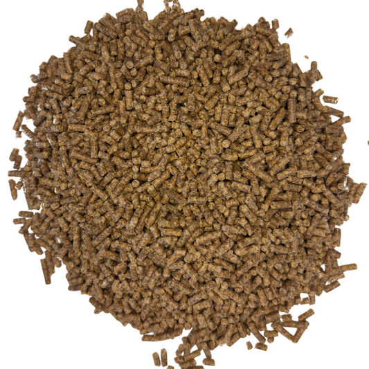 Nobel FLOHSAMENSCHALEN PELLETS-praktisch, kein Aufkochen notwendig