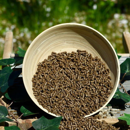 Nobel STOMACH PELLETS - natürliche Magen-und Darmhilfe in Pelletform