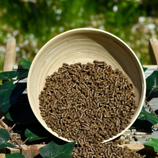 Nobel STOMACH PELLETS - natürliche Magen-und Darmhilfe in Pelletform