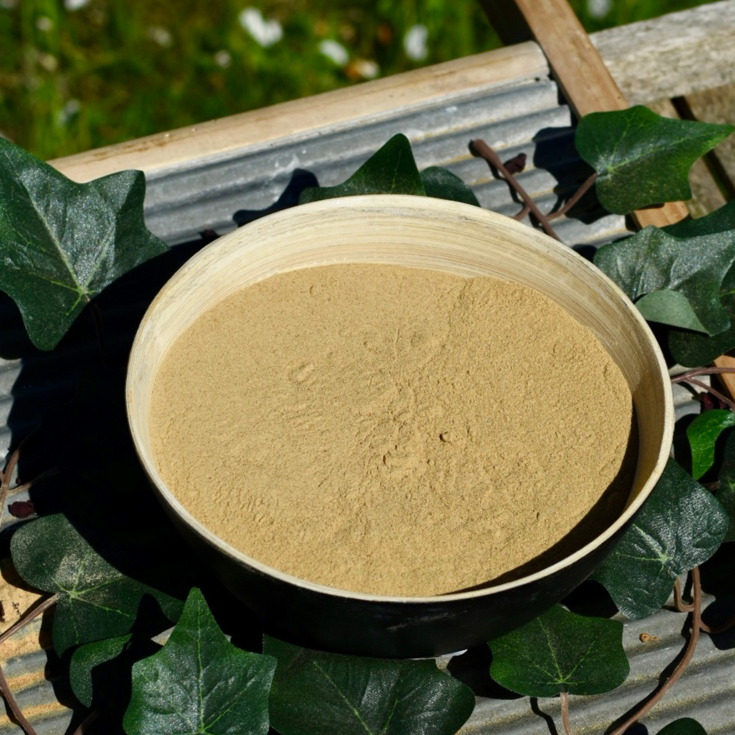Nobel Grünlippmuschel - 0,5kg