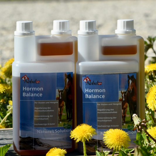 Nobel HORMON BALANCE Liquid - sanfte Unterstützung für den hormonellen Ausgleich, 1 Liter