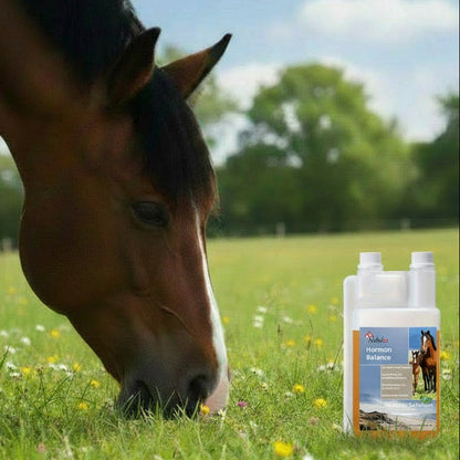 Nobel HORMON BALANCE Liquid - sanfte Unterstützung für den hormonellen Ausgleich, 1 Liter