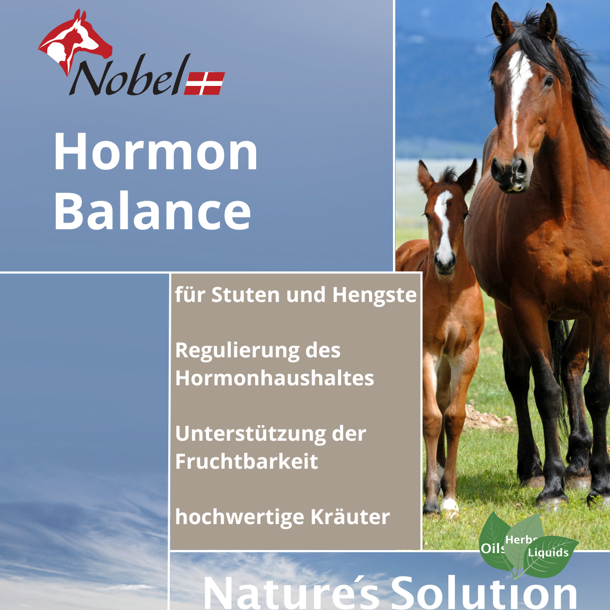 Nobel HORMON BALANCE Liquid - sanfte Unterstützung für den hormonellen Ausgleich, 1 Liter