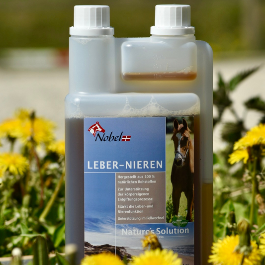 Nobel LEBER-NIEREN LIQUID -  pflanzliche Unterstützung zur Entgiftung, 1 Liter