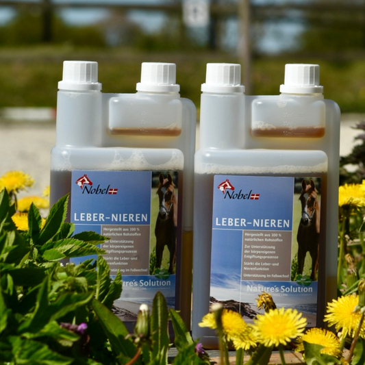 SCHNÄPPCHEN -GLÜCK : Leber-Nieren-Liquid