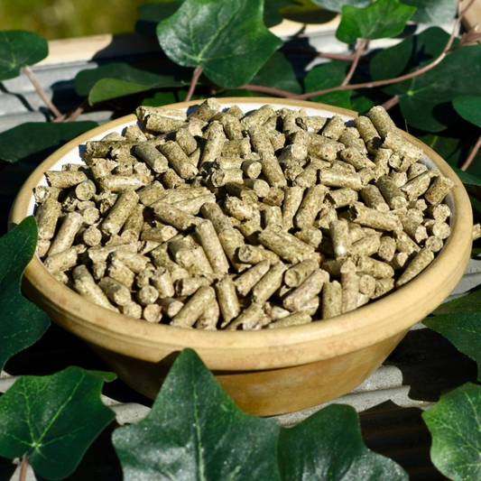 Nobel CARE PELLET - getreidefrei für den sensiblen Stoffwechsel, 25kg
