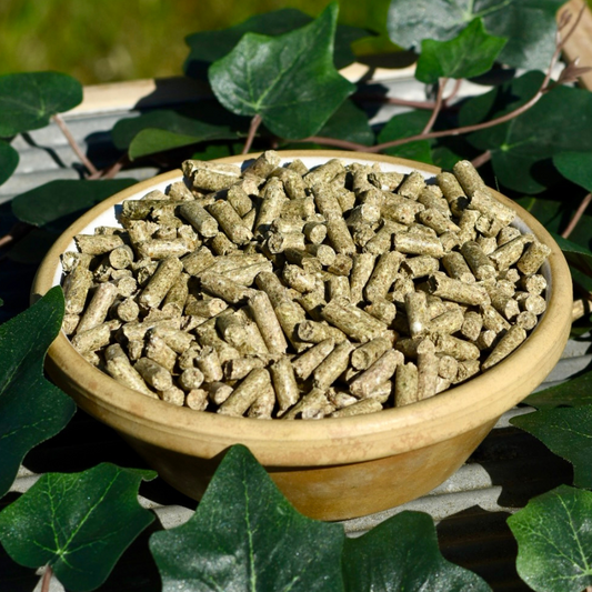 Nobel SPORT PELLET - energiereich und leicht verdaulich, 25kg
