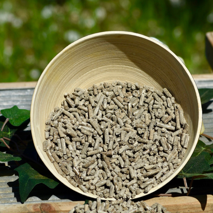 Nobel FLOHSAMENSCHALEN PELLETS-praktisch, kein Aufkochen notwendig