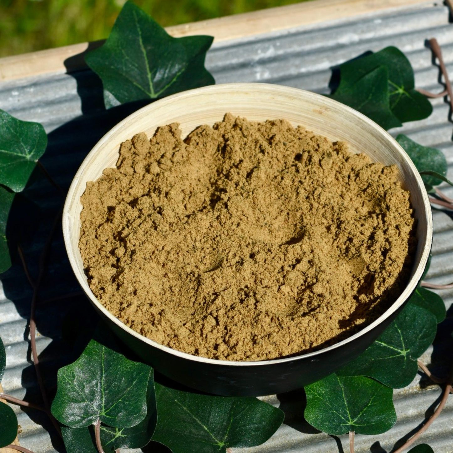 Nobel SKAGA POWER-BOOSTER - natürlicher Protein- und Muskelbooster
