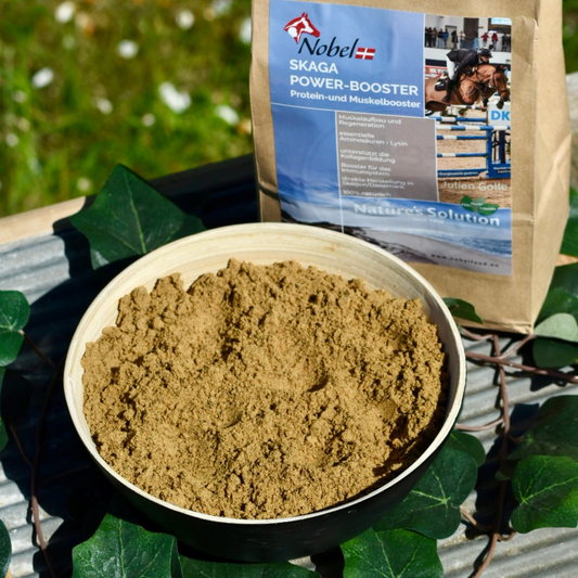 Nobel SKAGA POWER-BOOSTER - natürlicher Protein- und Muskelbooster