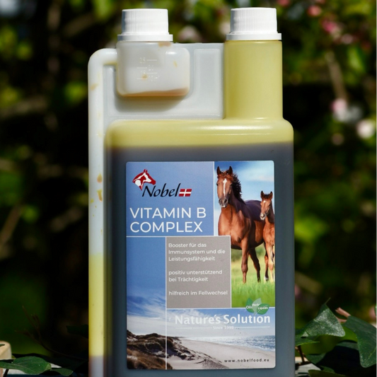 Nobel VITAMIN B-COMPLEX, 1 Liter