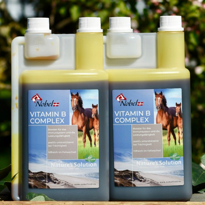 Nobel VITAMIN B-COMPLEX, 1 Liter