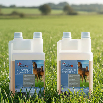 Nobel VITAMIN B-COMPLEX, 1 Liter